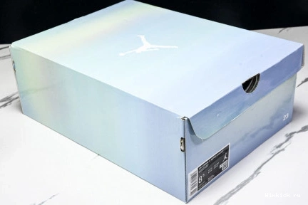 Low Air Jordan 11 1003